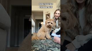 What does your dog do dogsoundchallenge [upl. by Eirased]