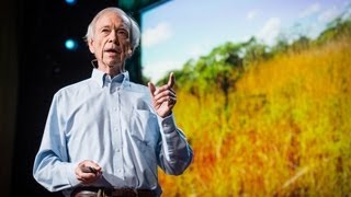 How to green the worlds deserts and reverse climate change  Allan Savory [upl. by Suter]