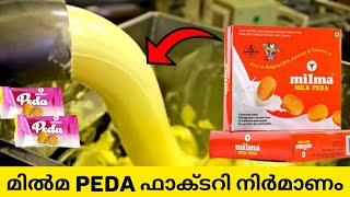 മിൽമ മിൽക്ക് പേട ഉണ്ടാക്കുന്നത്  Milma Peda  Milk Peda Recipe  Peda Recipe  Milk Powder recipe [upl. by Yssim762]