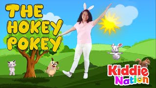 The Hokey Pokey action song with lyrics [upl. by Dnana630]