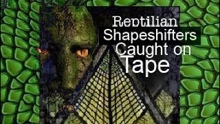 Reptilians caught on tape [upl. by Thomasin]