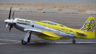 Precious Metal P51D XR Mustang 2013 qualifying run [upl. by Hael]