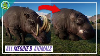 MeggieB Southeast Asia DLC Animals Planet Zoo in 60 Seconds [upl. by Saref]