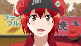 Now Im Her Senpai Hataraku Saibou Episode 12 English Sub [upl. by Hendel]