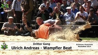 SZ 2014 Ulrich Andreas  Wampfler Beat [upl. by Edrea634]