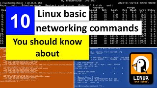 10 basic Linux networking commands you should know about [upl. by Enowtna]