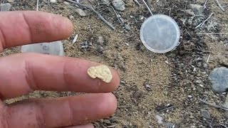 Testing a Buried 11 gram Gold Nugget  Garrett ATX vs Minelab SDC2300  Part 3 [upl. by Adnuahsor2]