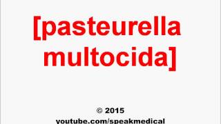 Pronounce Pasteurella multocida  SpeakMedical [upl. by Aube]