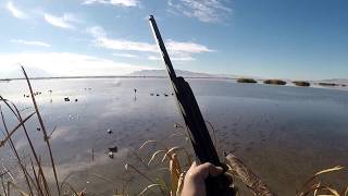 Public Lands  Utah Duck Hunt [upl. by Htieh]