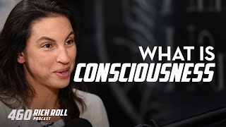 Annaka Harris On Consciousness  Rich Roll Podcast [upl. by Sugirdor]