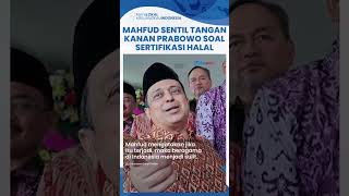 Lagi Mahfud Sentil Pejabat Kabinet Prabowo Haikal Hasan Dikritik soal Kewajiban Sertifikasi Halal [upl. by Rehoptsirhc756]