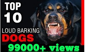 2 TOP 10 DOG BREEDS WITH LOUDEST BARK [upl. by Wing]