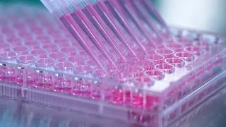 How to Generate Hybridomas in 96Well Plates Using ClonaCell™HY SemiSolid Cloning Medium [upl. by Andert]