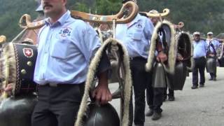 EIDG SCHELLER  TREYCHLERTREFFEN IN MEIRINGEN 2014 [upl. by Calida]