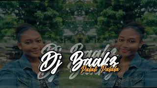 Ngeke Balunge  Mafikizolo X Dj Baakz ZKompa Mashup Remix [upl. by Assirk]