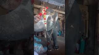 Srirangam temple elephant andal ate thiruvellarai temple prasadam [upl. by Tsew]