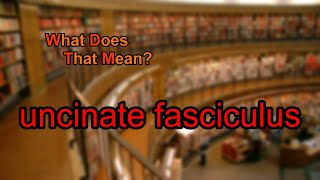 What does uncinate fasciculus mean [upl. by Trauner103]