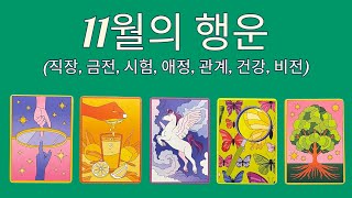 타로행운11월의 행운직장금전직장애정관계시험성공 [upl. by Lekzehcey]