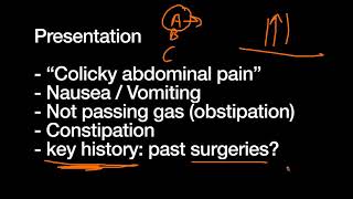 Small Bowel Obstruction [upl. by Adnomar]