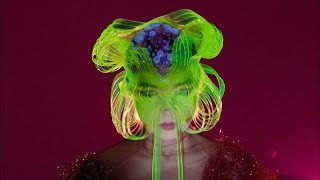 Björk  Notget Official Music Video HD [upl. by Anawqahs677]