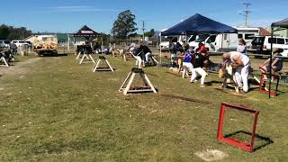 Woodchopping Final Women’s Single Handed Sawing Handicap NTAA Carnival Exeter 121024 [upl. by Begga766]