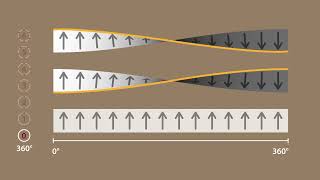 Topology of Bosons and Fermions U30307 [upl. by Evadnee]