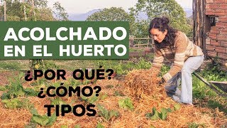 ACOLCHADO EN EL HUERTO  Cómo por qué y tipos [upl. by Verger360]