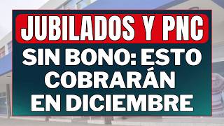 💥 Sin Bono para jubilados en diciembre ESTO es lo que se COBRA a fin de año  jubilados pnc puam [upl. by Ellard]