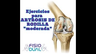 Ejercicios para ARTROSIS de RODILLA quotmoderadaquot [upl. by Uchida208]