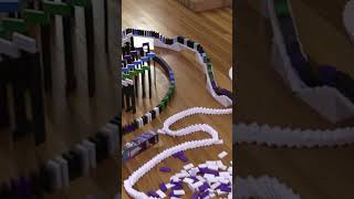 5000 dominoes falling ASMR 😍 [upl. by Ibrik]