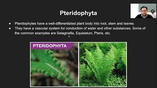 Five Kingdom Classification Kingdom Plantae and Animalia ICSE Class 9 Biology Sachin P [upl. by Yevreh857]