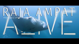 Raja Ampat Liveaboard Diving 2023 [upl. by Ynalem]