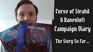 Campaign Diary The Story So Far  Running Curse of Strahd amp Ravenloft from Apr 2020 to present [upl. by Narmi]