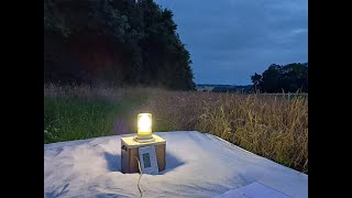 Moth trapping  Lound Wood July 17th 2024 [upl. by Sheppard]