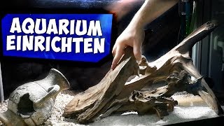 ÜBERGANGSAQUARIUM HARDSCAPE EINRICHTEN MIT TIPPS  Aqua Update [upl. by Pierro]