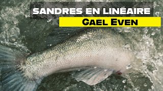 Pêche du sandre en lac en linéaire  les conseils de Gaël Even [upl. by Nya453]