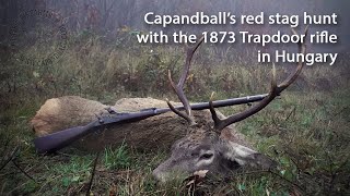 Hunting red stag with an original M 1873 Springfield Trapdoor rifle [upl. by Elconin]