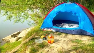 3 days 🔥camping in the forest relaxing by the stream  Relaxing Nature White Noise Sleep Aid [upl. by Bess]