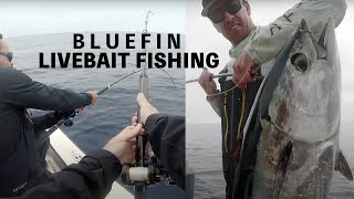 Catching Bluefin Tuna on Live Bait  Private Boat [upl. by Dulcia]