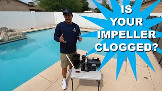 Swimming Pool Pumps How it works and how to re startprime the it [upl. by Phemia]