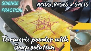 Turmeric Powder with Soap Solution  Science Practical  Acids Bases amp Salts  Class 7 [upl. by Mccarty662]