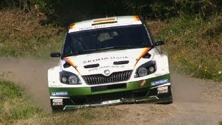 Rallye Deutschland Tests Wiegand Evans Andersson Chardonnet Kremer Riedemann P3 Test [upl. by Otrebliw]