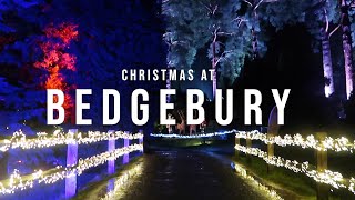 Christmas at Bedgebury  Christmas light trail at Bedgebury National Pinetum 2020  Kent UK [upl. by Atinomar]