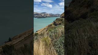 Lyttelton Harbour  Whakaraupō as seen from the Evans Pass Lookout New Zealand 🇳🇿 [upl. by Onitram106]