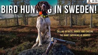 Bird Hunting in Sweden  Ep 276 [upl. by Raven]