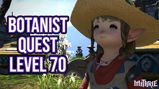 FFXIV 458 1319 Botanist Quest Level 70 [upl. by Ludie]