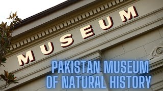 National History Museum in Islamabad  Amazing Museum  Pakistan Museum of Natural History [upl. by Malvina294]