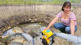 The lake water receded and the fish stayed in the puddle The girl bought a motor to drain the water [upl. by Burnley688]