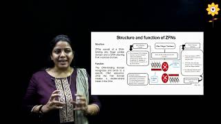 Gene Editing by Zinc Finger Nucleases  L2  Prof Suparna Deepak  PCACS [upl. by Brendan]