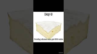 Proving cheese can get 500 subs day 9 [upl. by Sueaddaht]